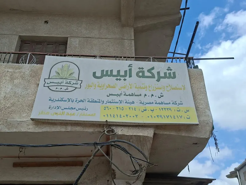 شركة أبيس