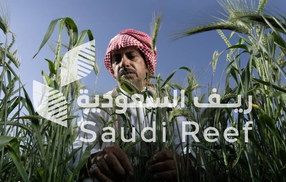 ريف السعودية دعم